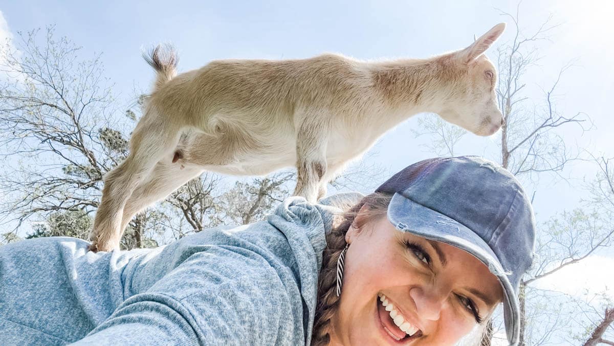 What is Goat Yoga & Should You Try It?