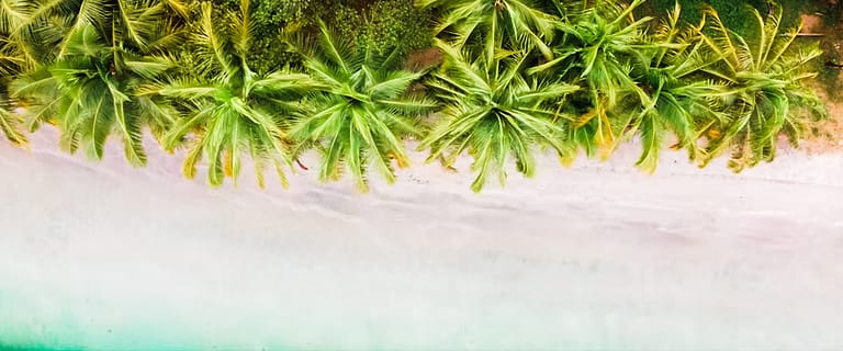 BEST things to do in Bocas Del Toro - Starfish Beach Playa Estrella